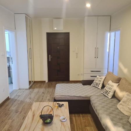 Apartament Casa Mia Nowy Sad Zewnętrze zdjęcie